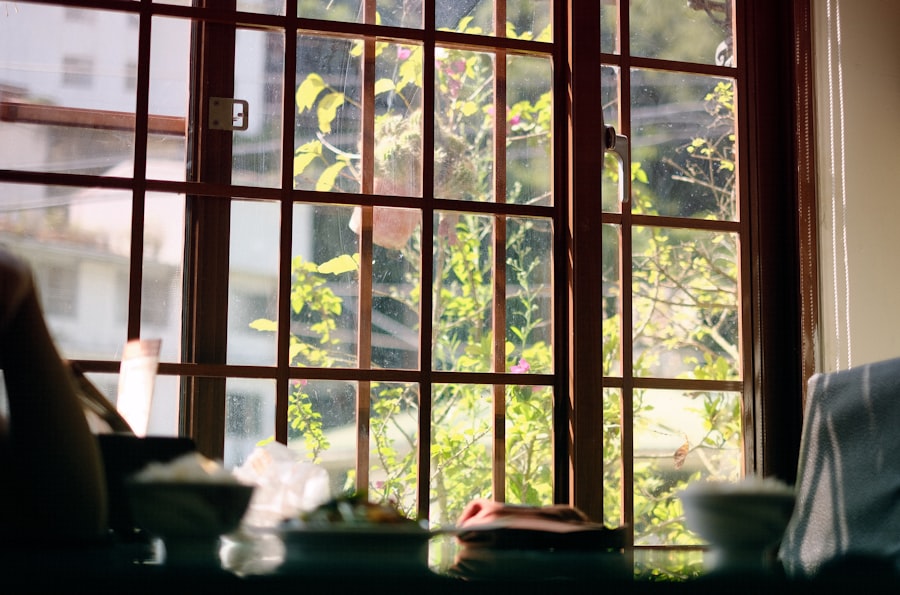 Soft afternoon light through a window with greenery outside