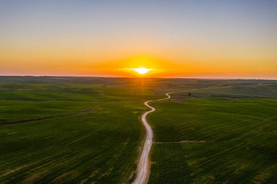 Winding country road through green fields at sunrise